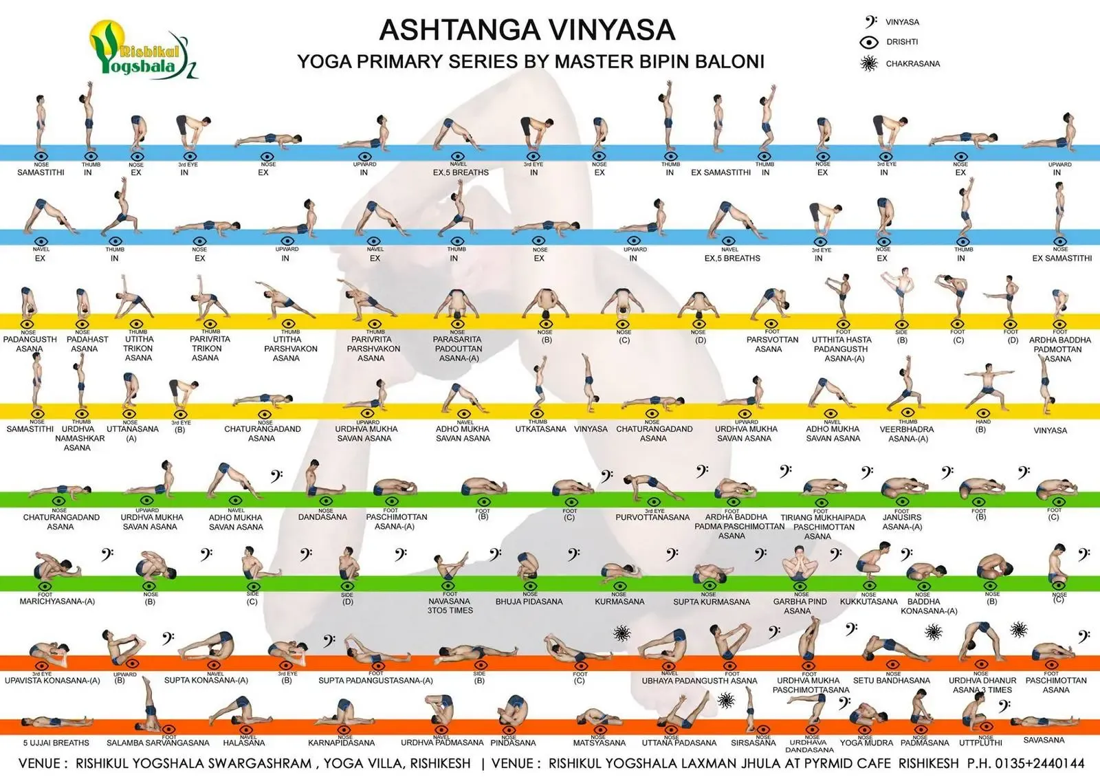 Последовательность асан Аштанга Виньяса йоги