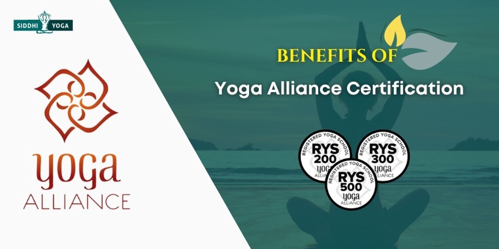 Сертификация Yoga Alliance: всё, что нужно знать о пути к международному признанию