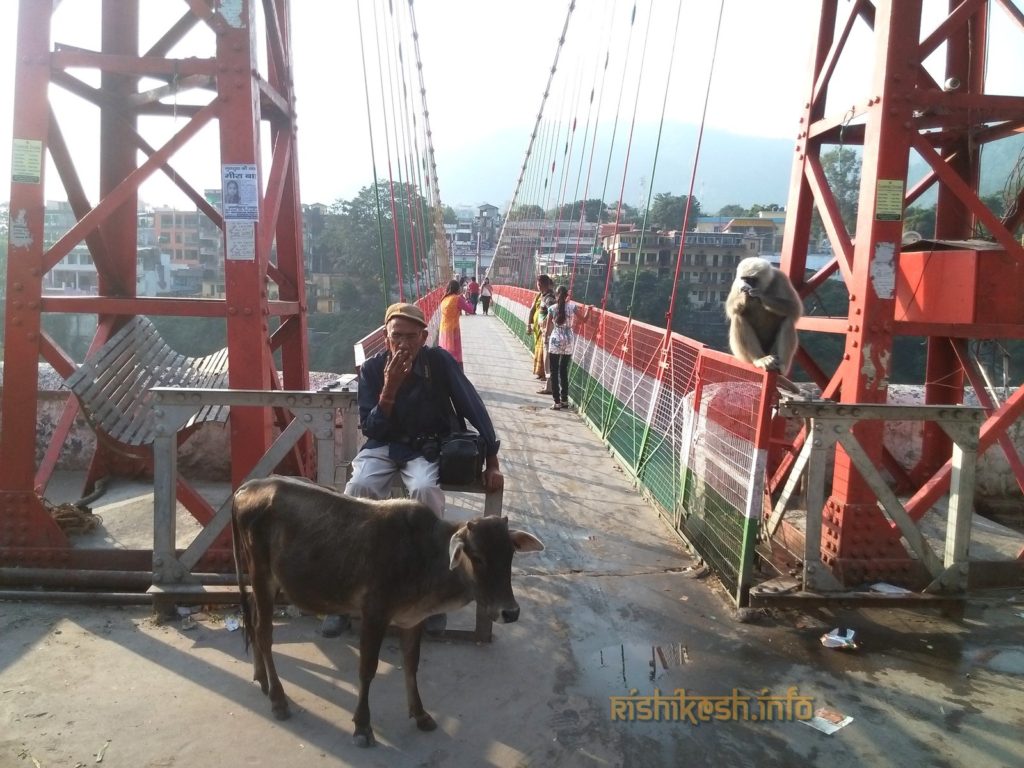 Мост Лакшман Джула в Ришикеше