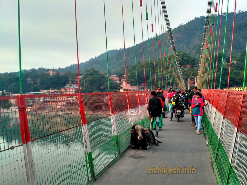 мост Рам Джула в Ришикеше